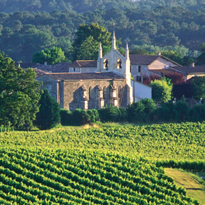 vue-vignoble-entre-deux-mers-_c_CIVB_P.jpg